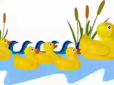 Puddleducks 